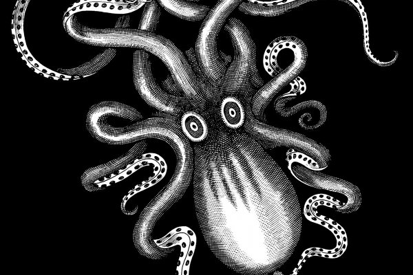 Kraken 2 зеркало
